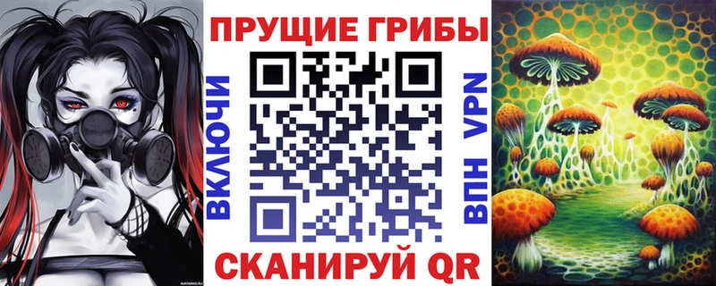 Псилоцибиновые грибы Magic Shrooms  blacksprut онион  Новошахтинск 